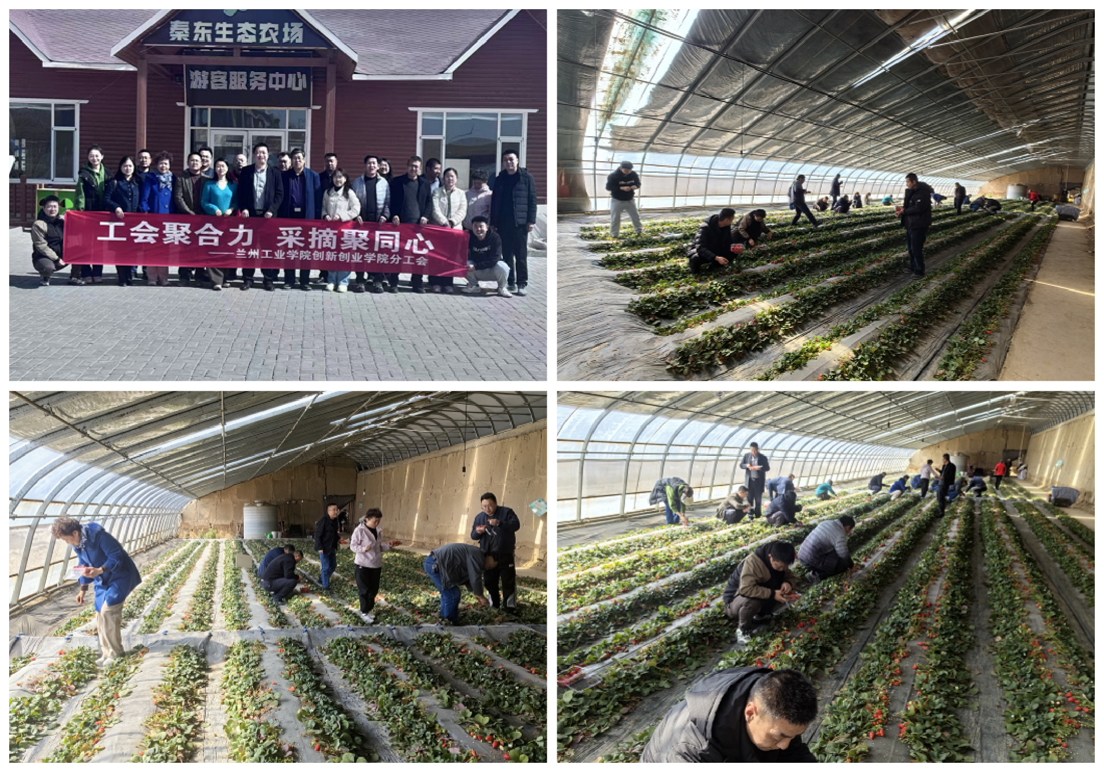 创新创业学院分工会举办“工会聚合力 采摘聚同心”采摘活动